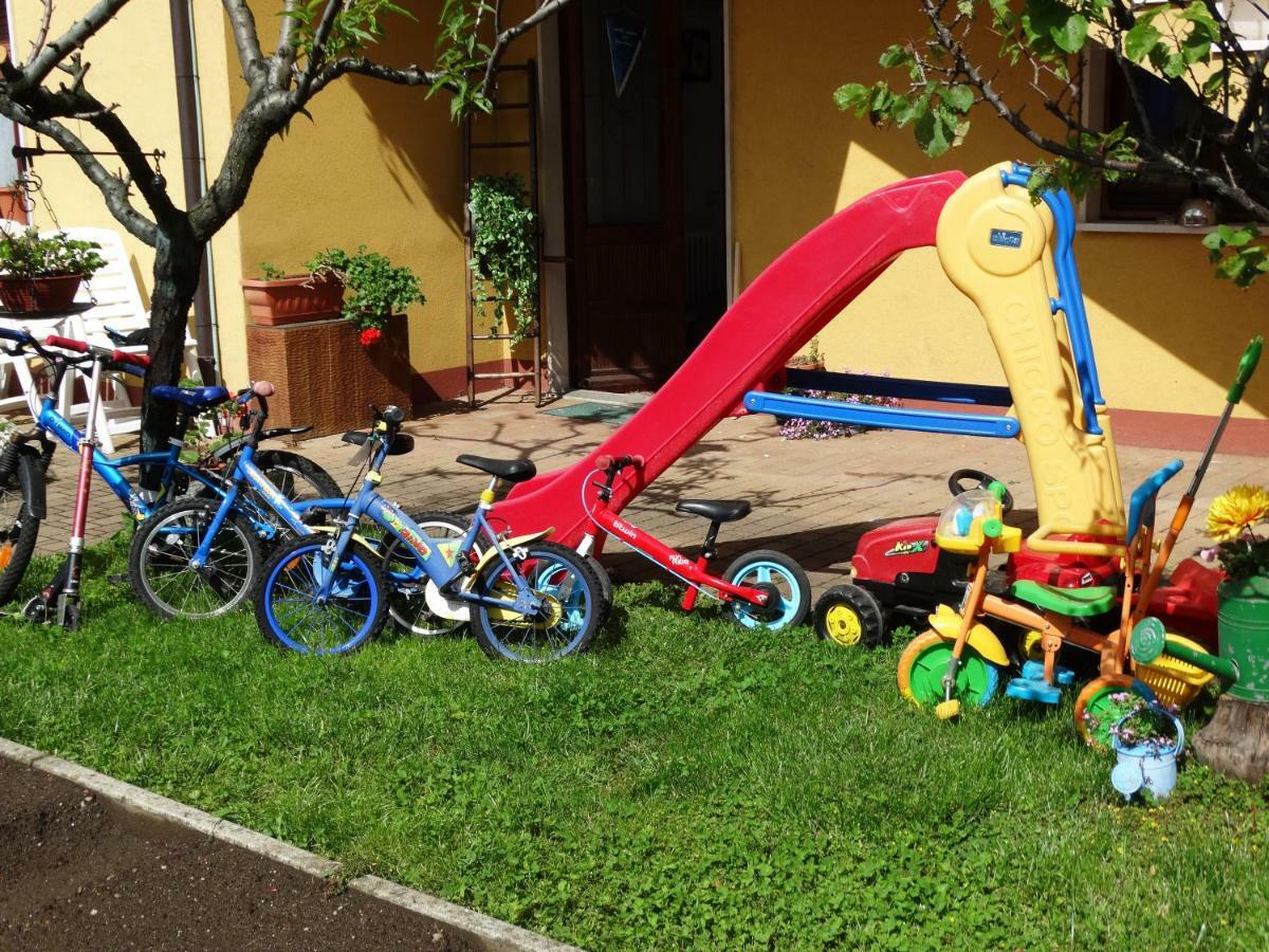 Il Nido Del Merlo Parcheggio E Giardino Вербания Экстерьер фото