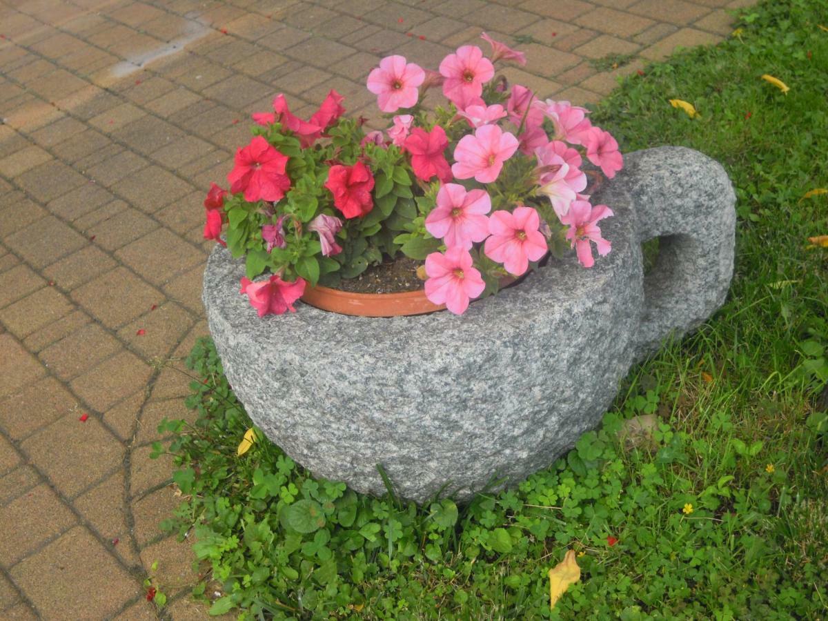 Il Nido Del Merlo Parcheggio E Giardino Вербания Экстерьер фото